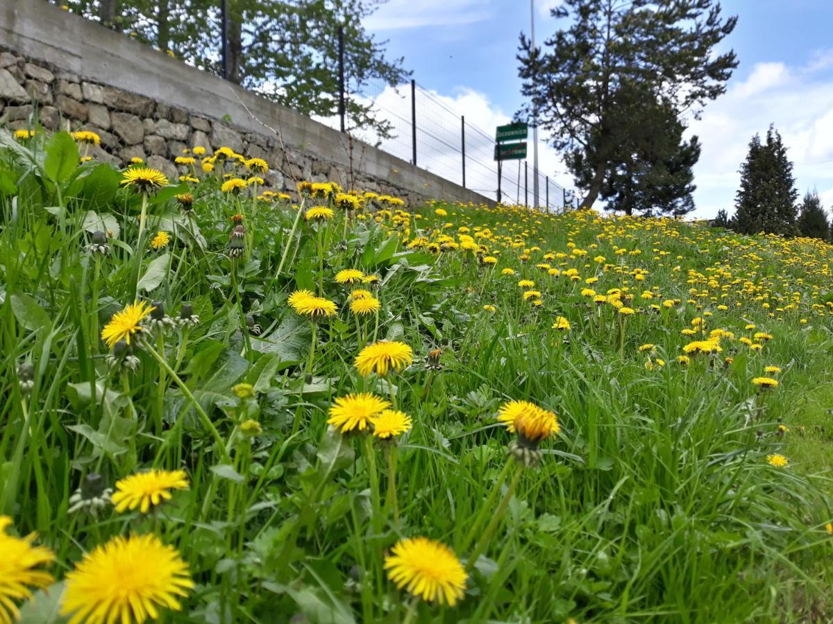 Pokoje Goscinne Pod Cuprona Szczawnica Bagian luar foto